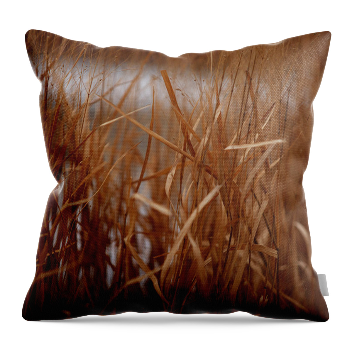 Grass Throw Pillow featuring the photograph Winter Grass - 1 by Linda Shafer