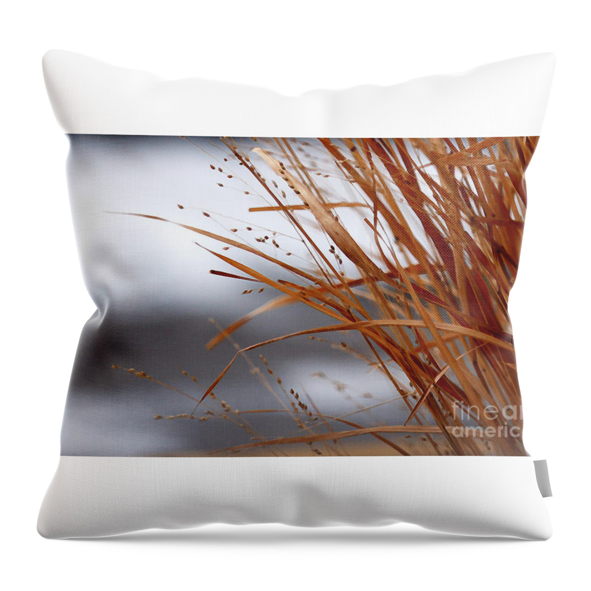 Grass Throw Pillow featuring the photograph Winter Grass - 2 by Linda Shafer