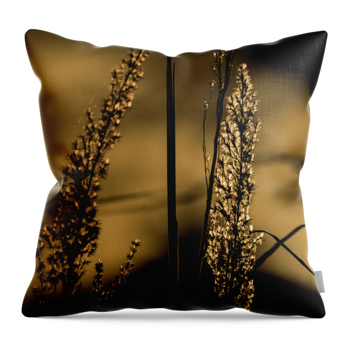 Jay Stockhaus Throw Pillow featuring the photograph Winter Grass by Jay Stockhaus