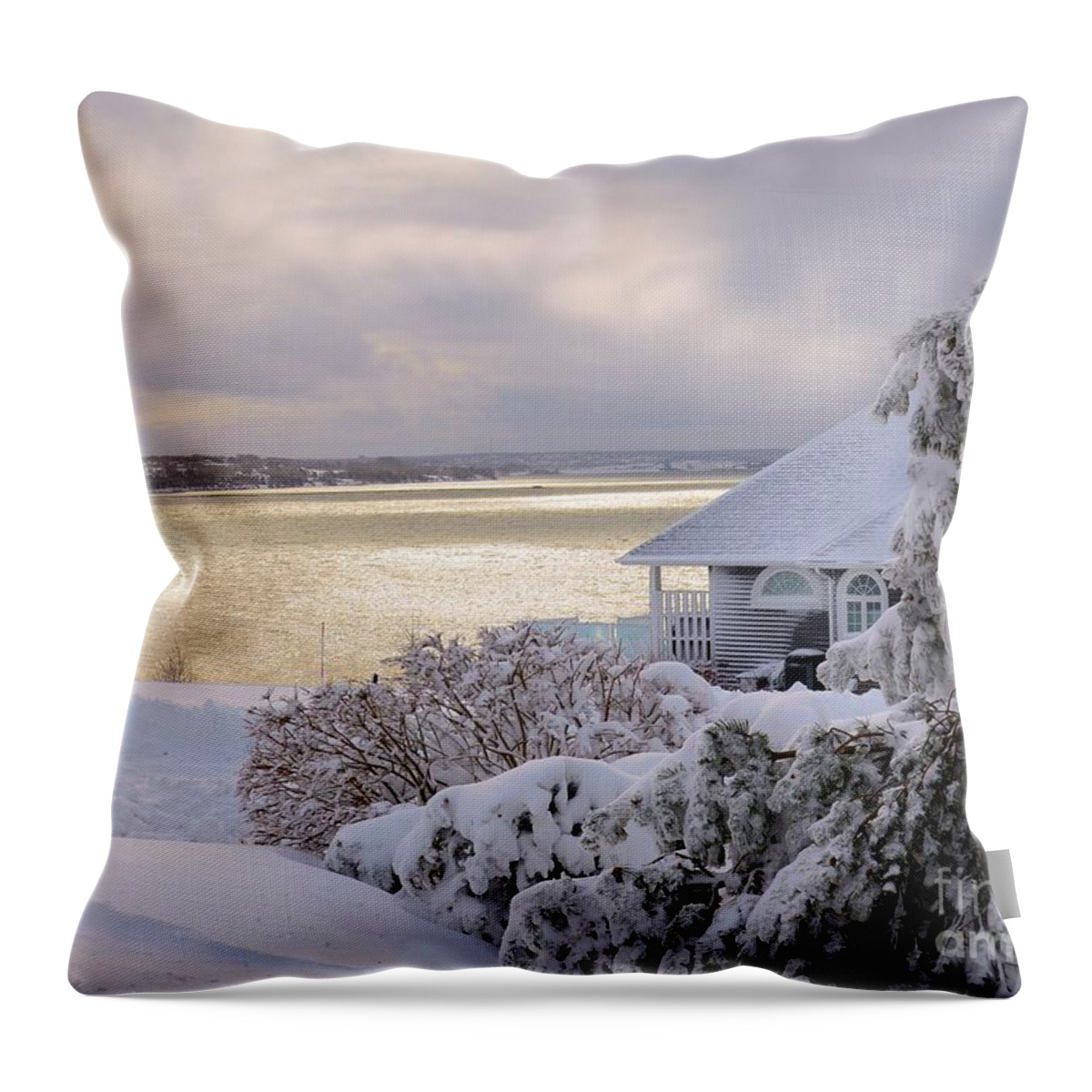 Winter Throw Pillow featuring the photograph  Atlantic Ocean Winter Harbour by Elaine Manley