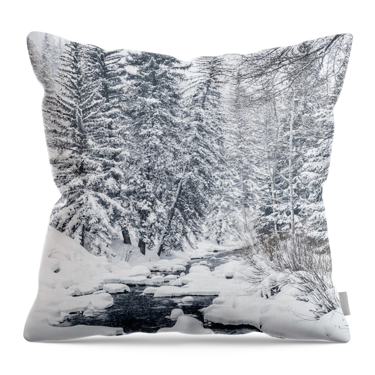 Kremsdorf Throw Pillow featuring the photograph Winter Heaven by Evelina Kremsdorf