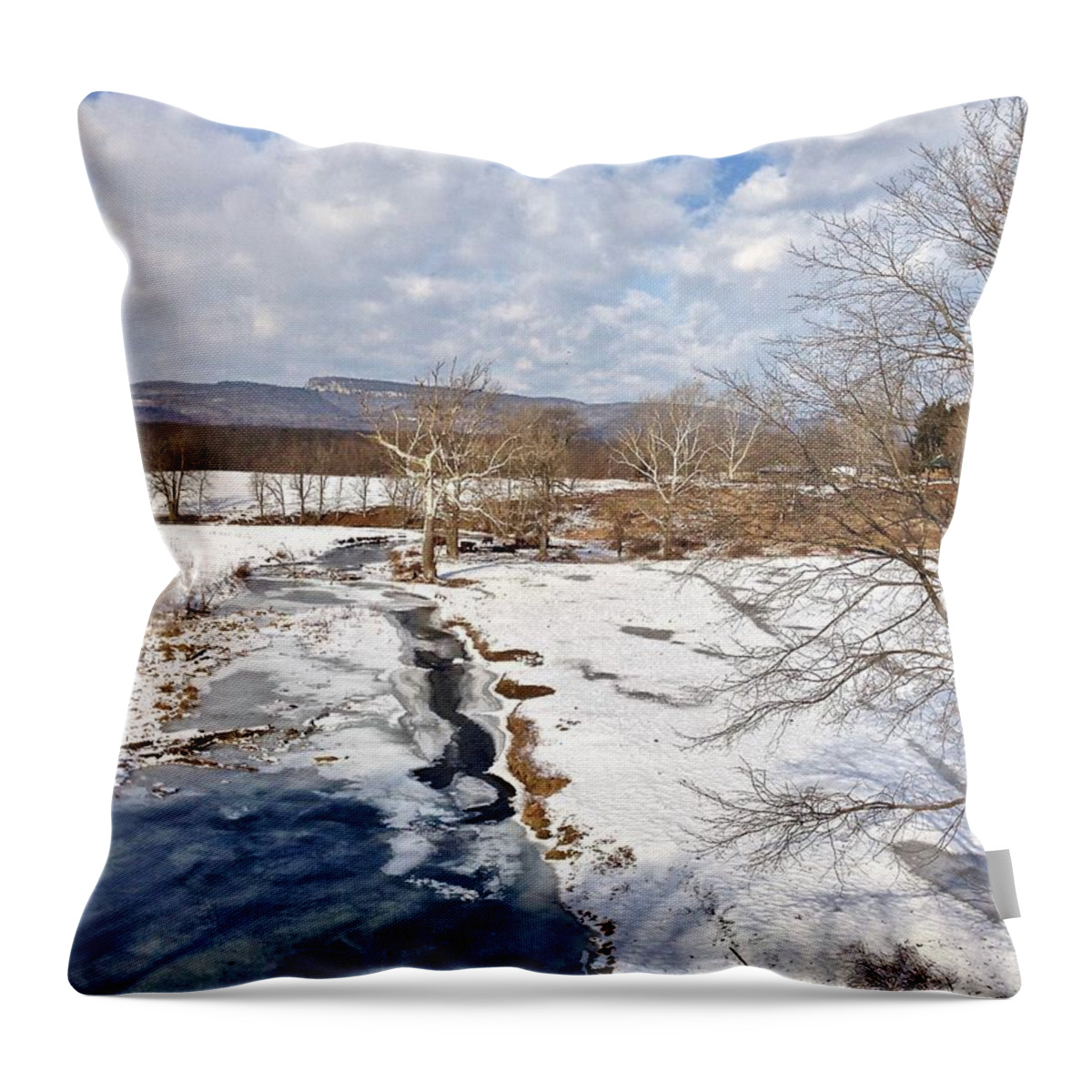 #blue Throw Pillow featuring the photograph Winter Hike by Cornelia DeDona