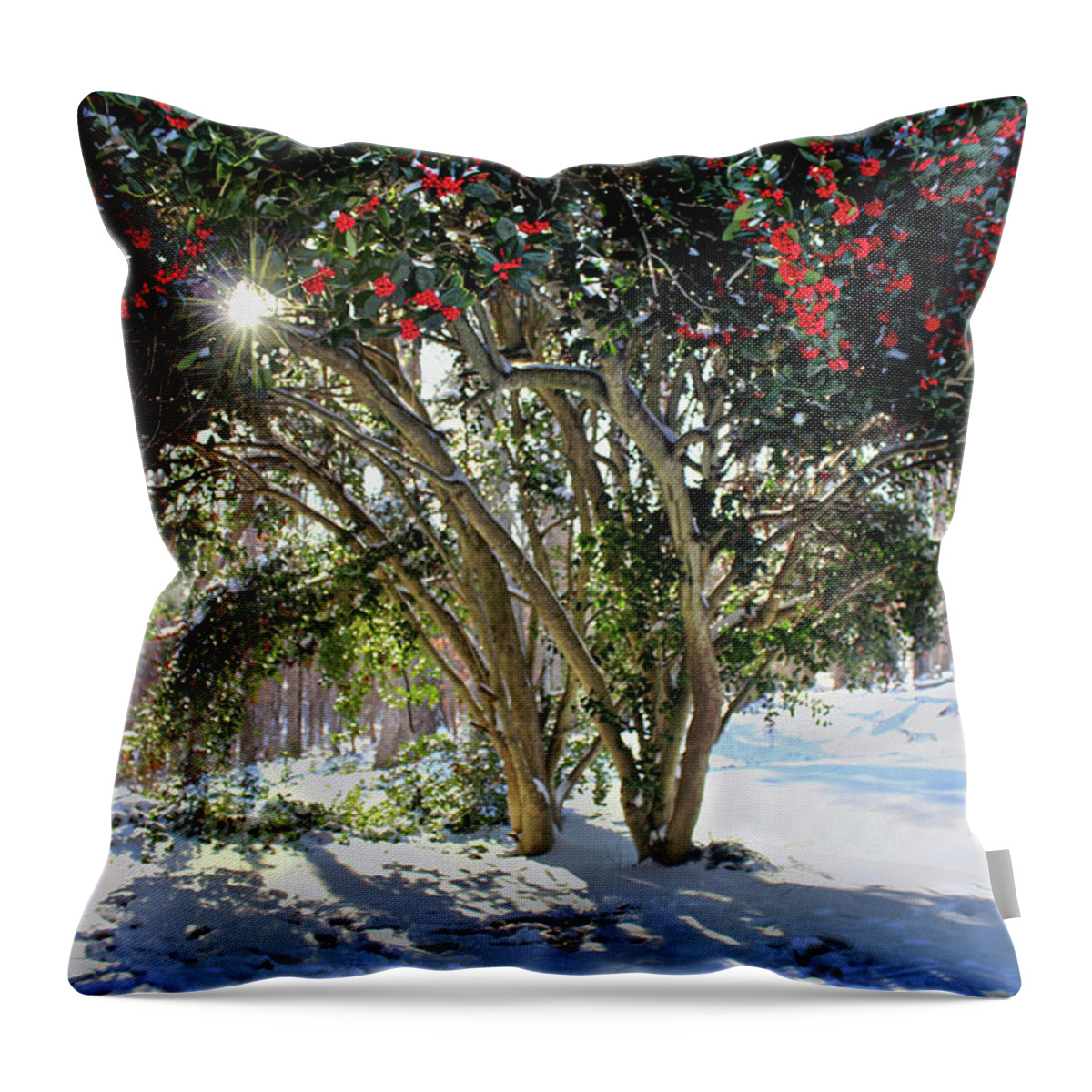 Holly Throw Pillow featuring the photograph Winter Holly by Jessica Brawley