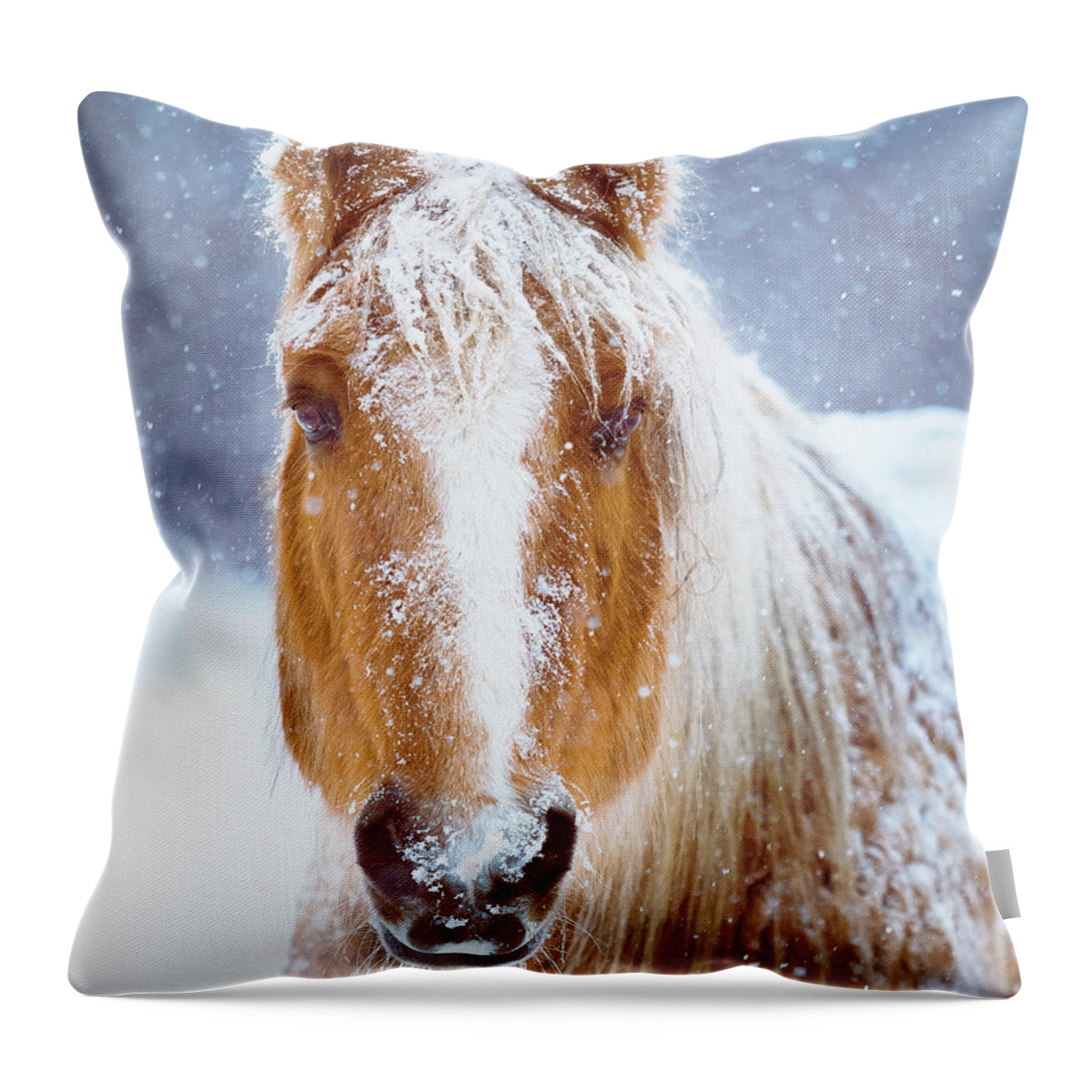 Winter Throw Pillow featuring the photograph Winter Horse Portrait by Debi Bishop