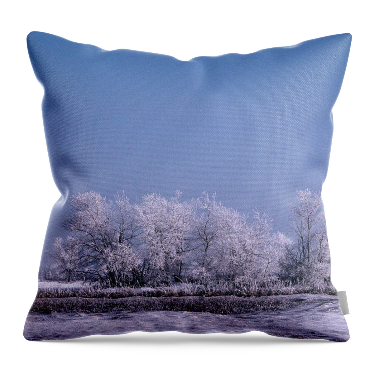 Frozen Trees Winter North Dakota Throw Pillow featuring the photograph Winter Ice Tree by William Kimble