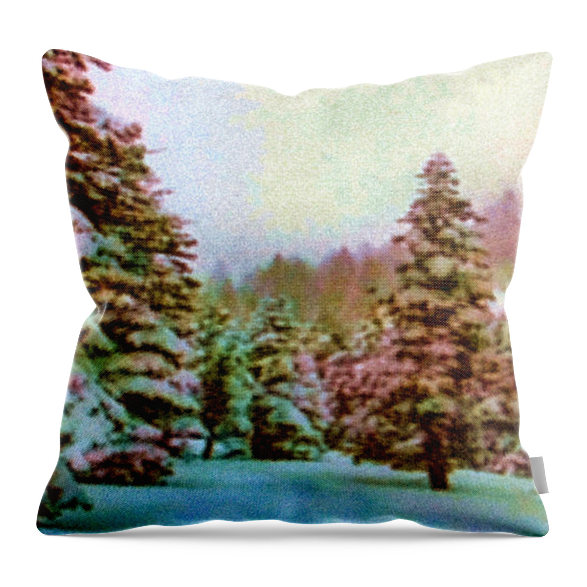 Winter Impressions Throw Pillow featuring the photograph Winter Impressions by Kathleen Modica