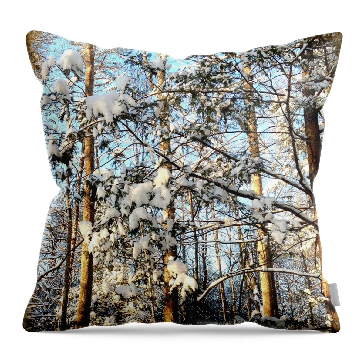 Snow Throw Pillow featuring the photograph Winter In Cosby by Lessandra Grimley