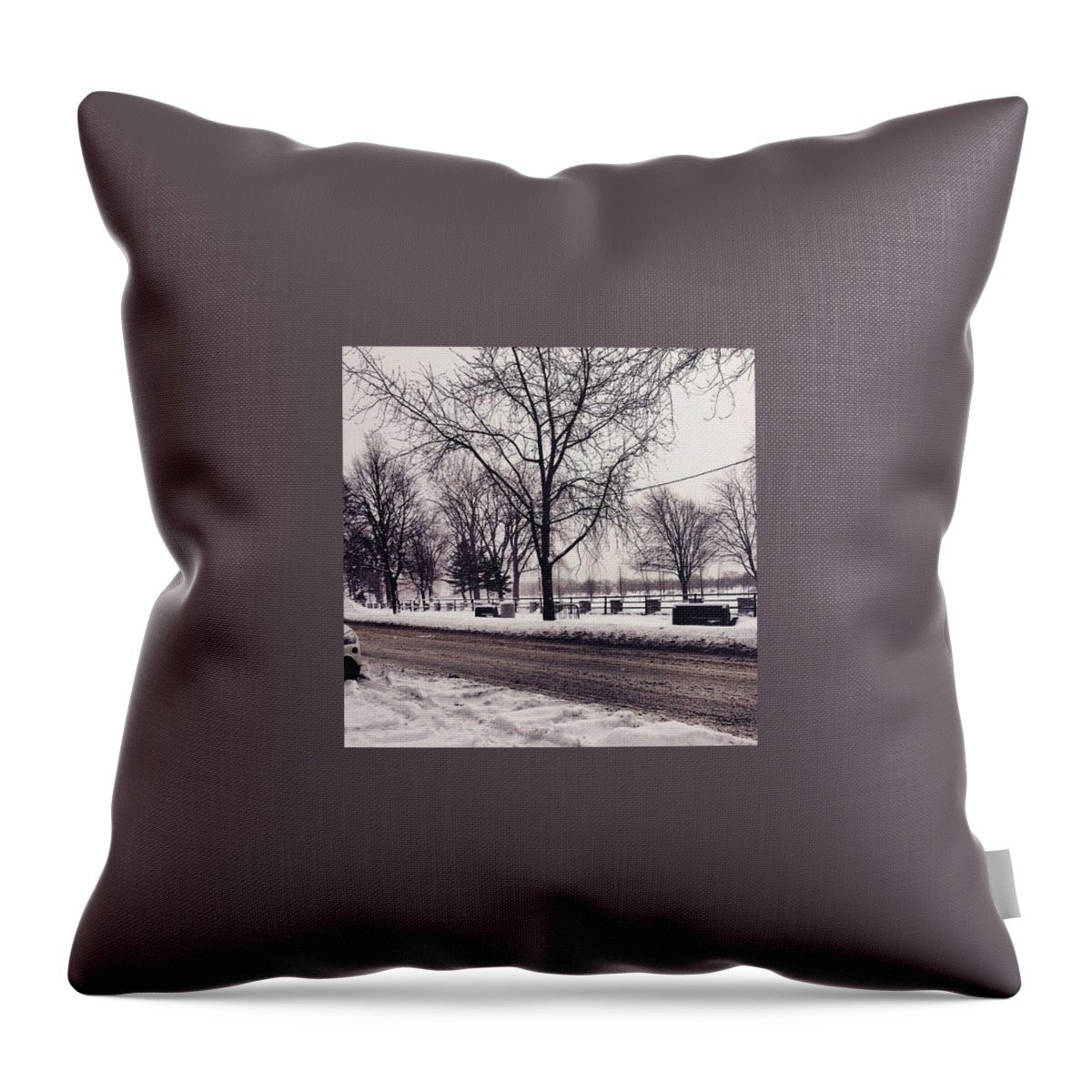 Winter Throw Pillow featuring the photograph Winter in Montreal - canal Lachine by Myriam Legault