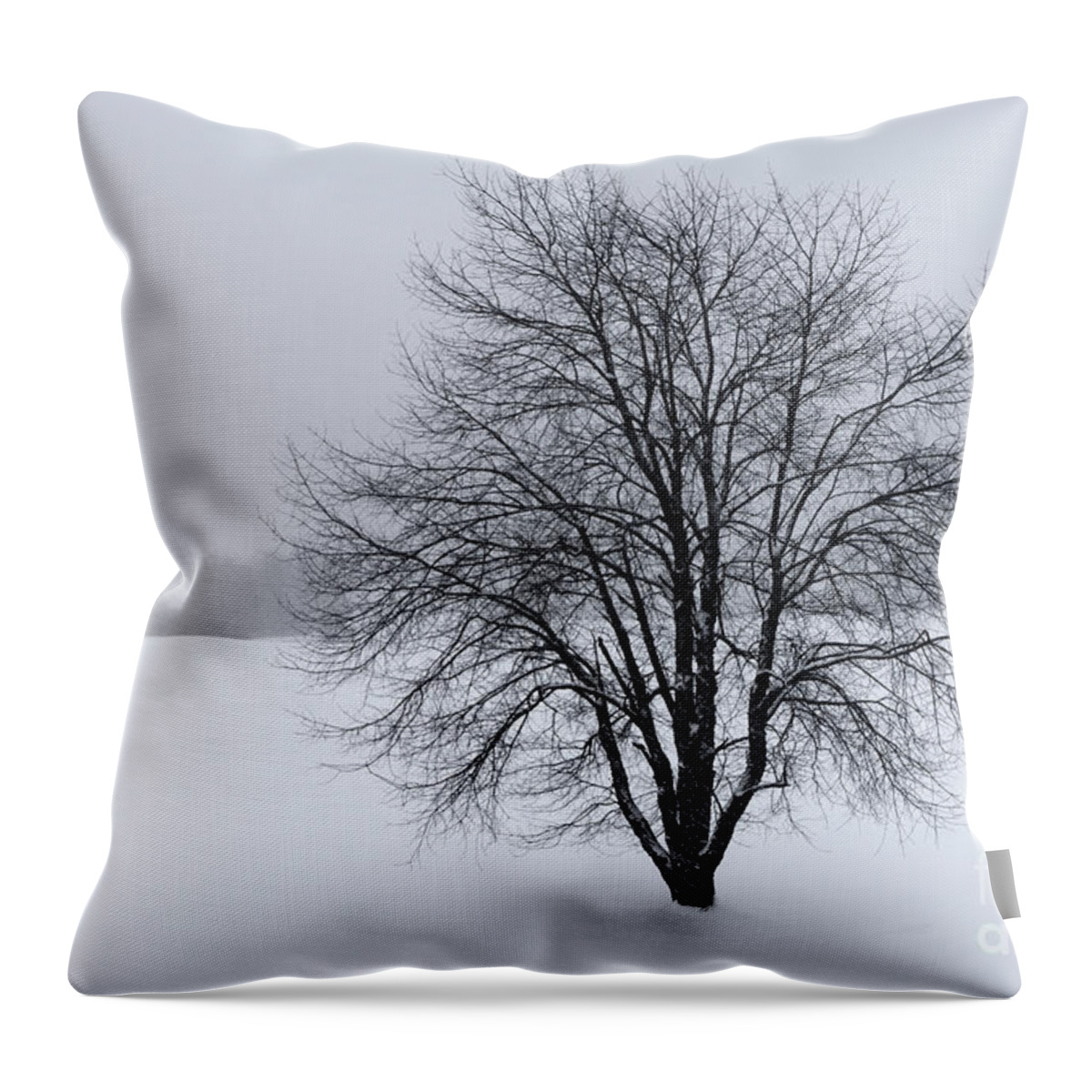 Winter Throw Pillow featuring the photograph Winter in New England by David Rucker
