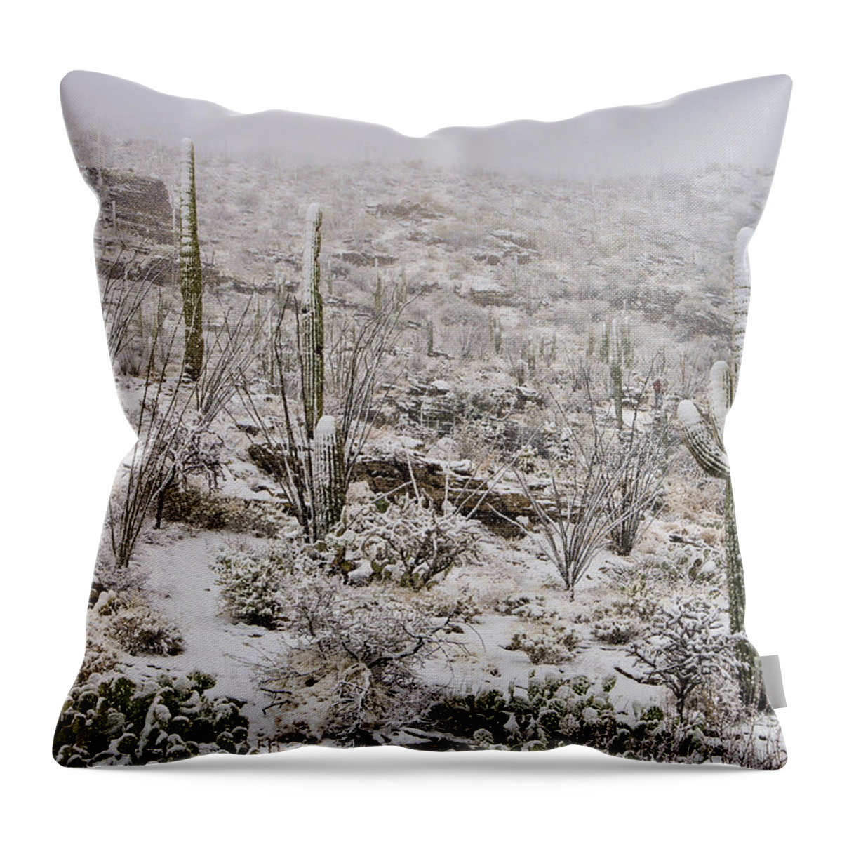 Southwest Throw Pillow featuring the photograph Winter In The Desert by Sandra Bronstein