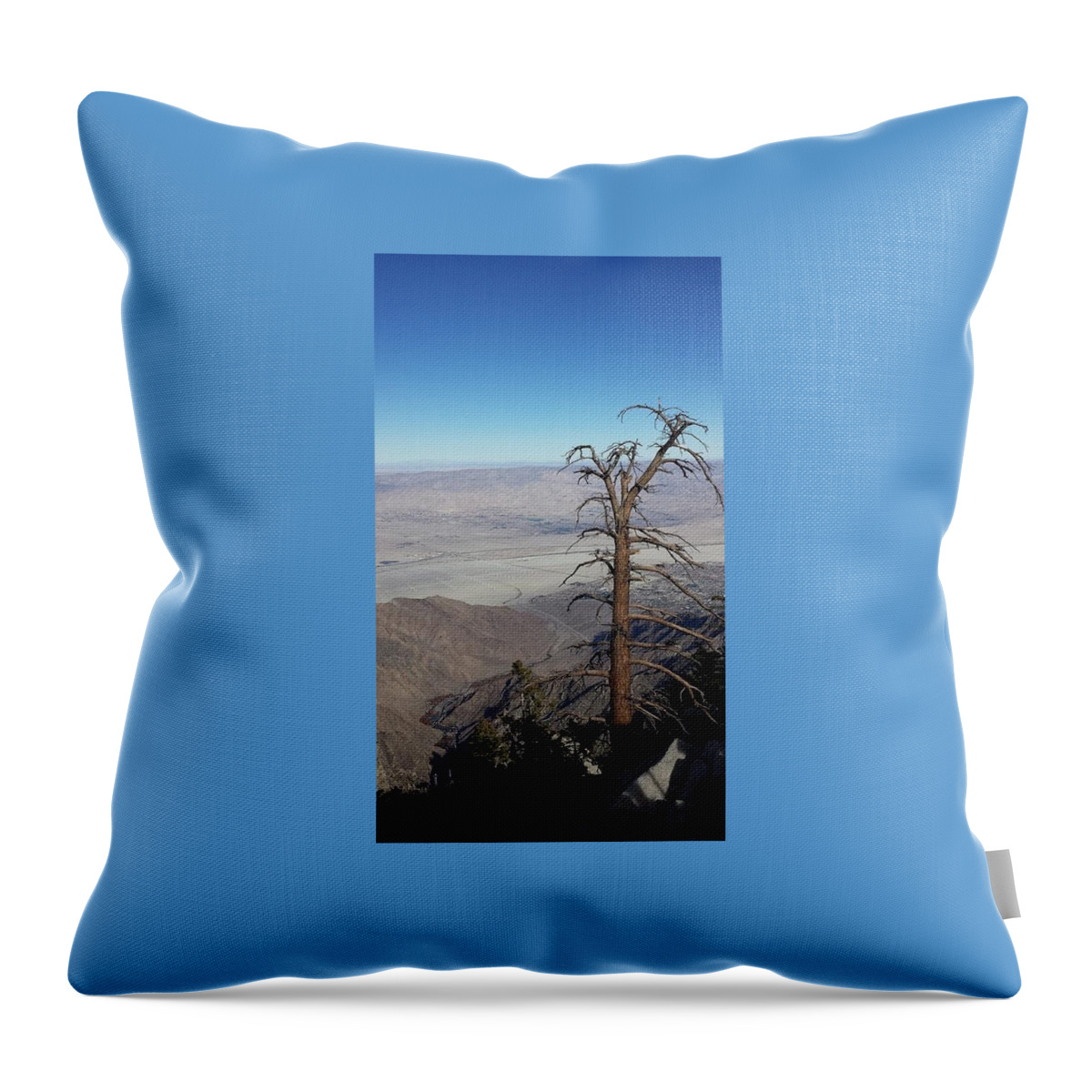 Tree Throw Pillow featuring the photograph Winter in the Dessert by Cari Ann Ormsby