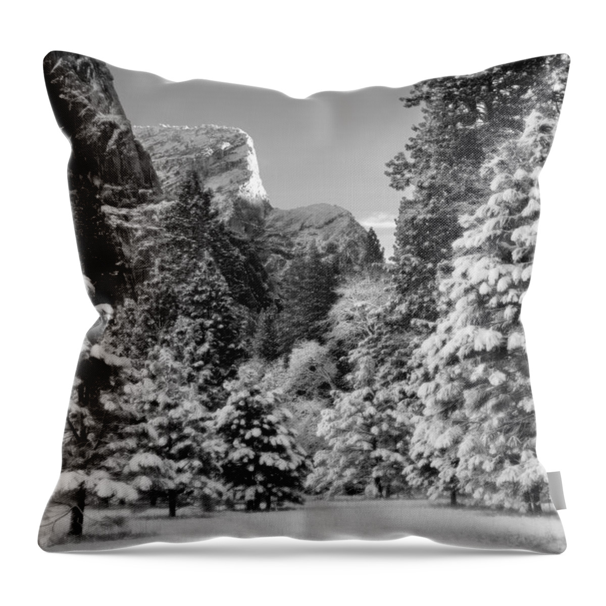 Tree Throw Pillow featuring the photograph Winter in Yosemite Valley by Lawrence Knutsson