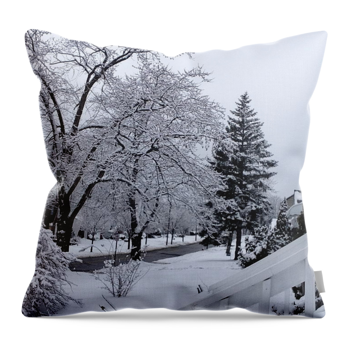 Snow Throw Pillow featuring the photograph Winter Lace by Barbara Keith