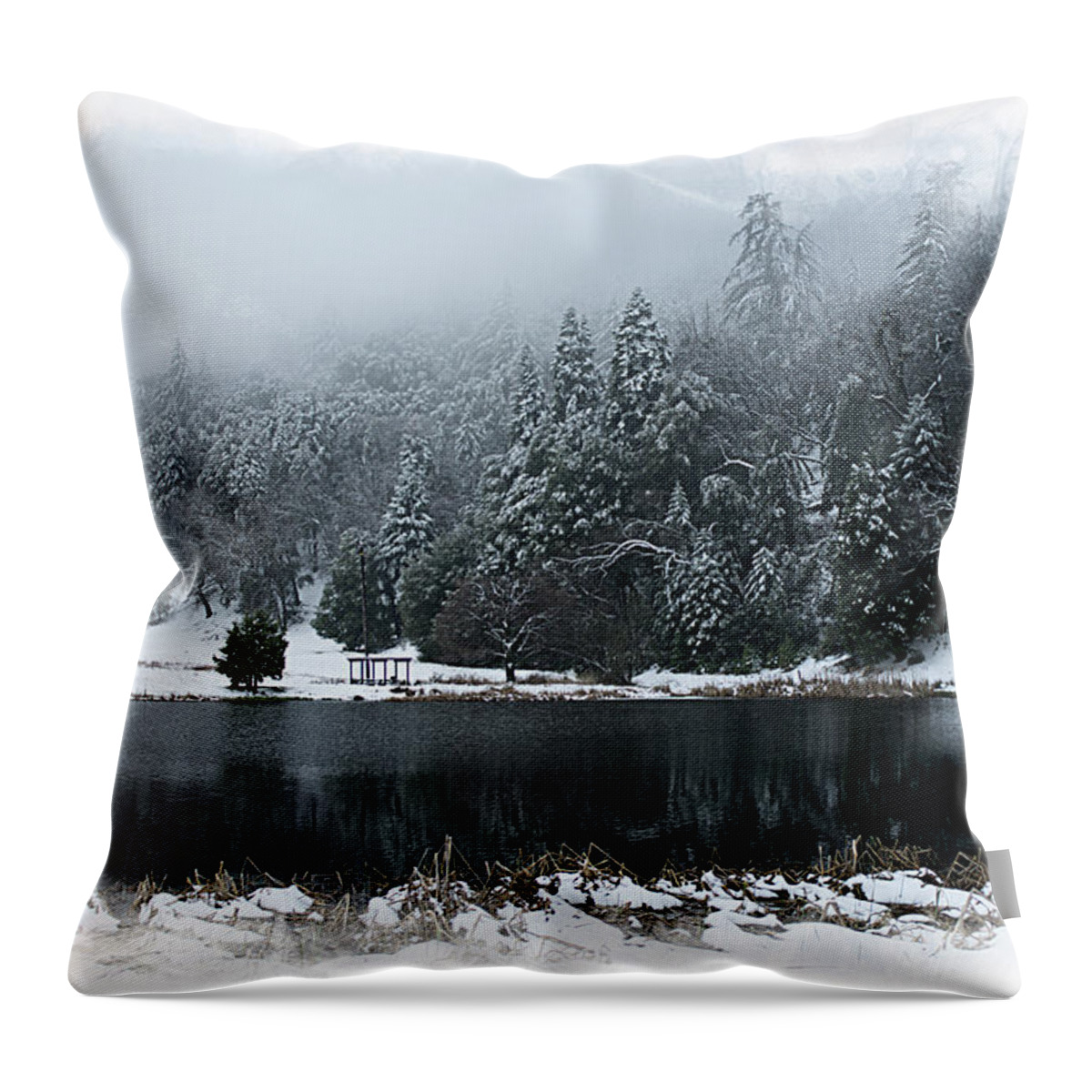 Doane Throw Pillow featuring the photograph Winter Lake by Hugh Smith