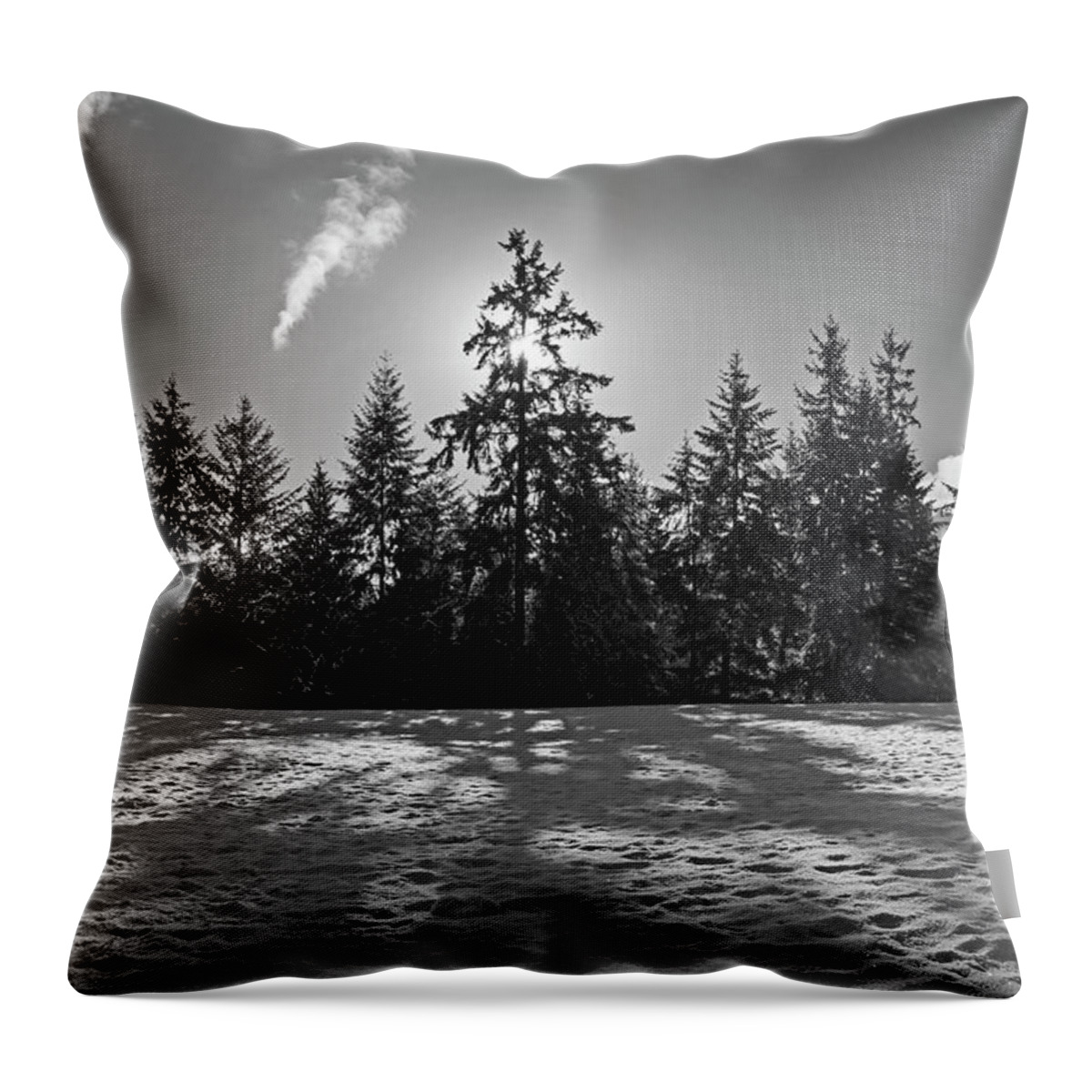 Winter Throw Pillow featuring the photograph Winter Landscape - 365-317 by Inge Riis McDonald