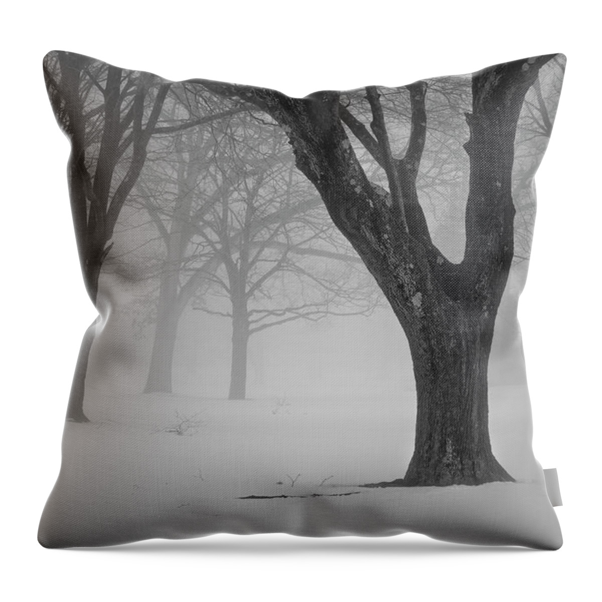 Landscape Throw Pillow featuring the photograph Winter Landscape V by David Gordon