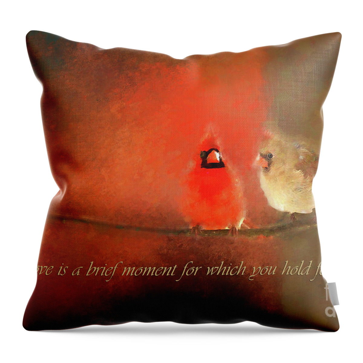 Love Birds Throw Pillow featuring the photograph Winter Love2 by Darren Fisher