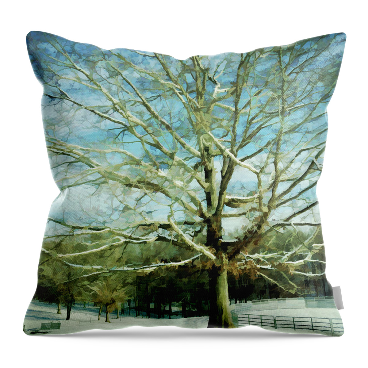 Tree Throw Pillow featuring the photograph Winter Magic  by Kerri Farley