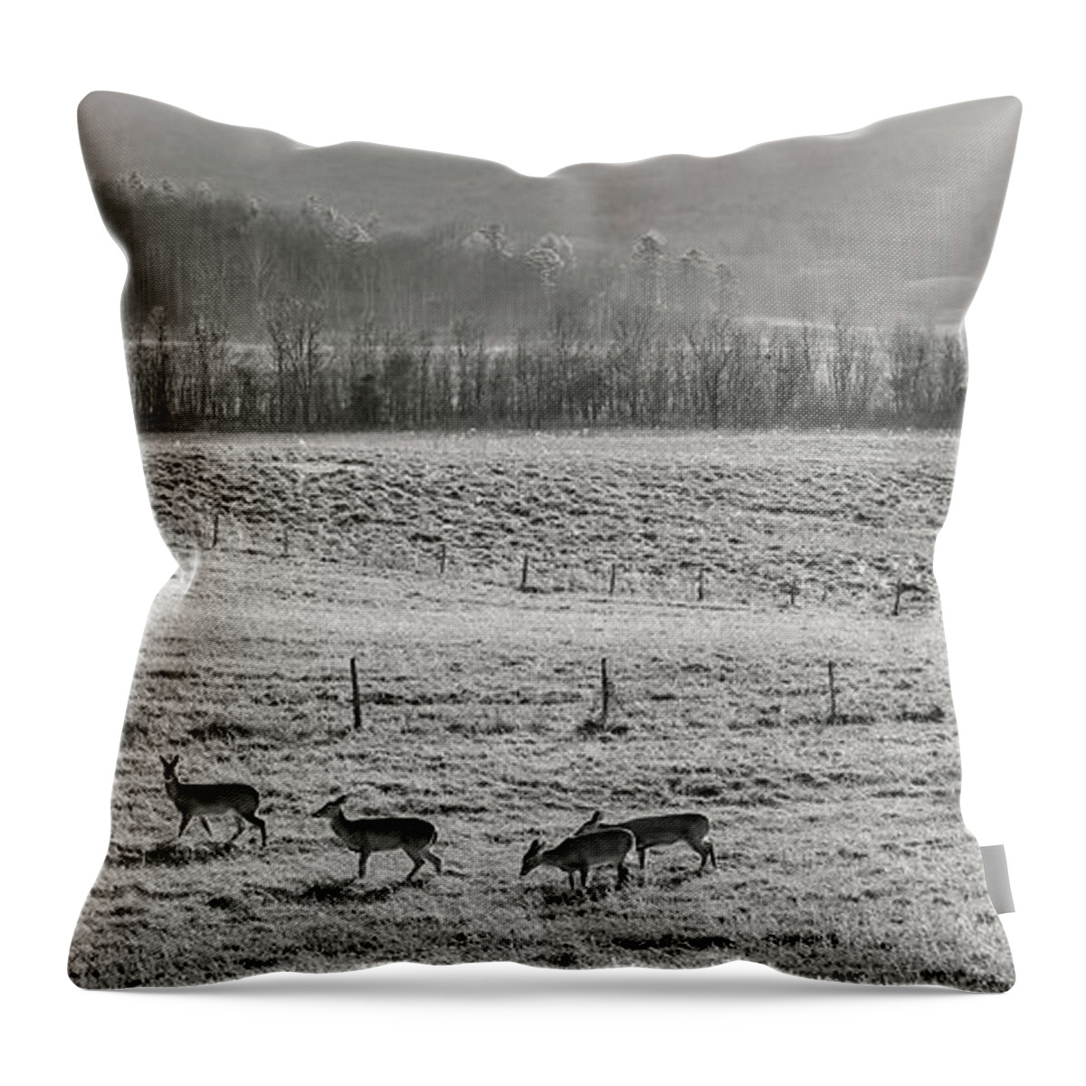 Winter Throw Pillow featuring the photograph Winter Morning Moment by Randall Evans