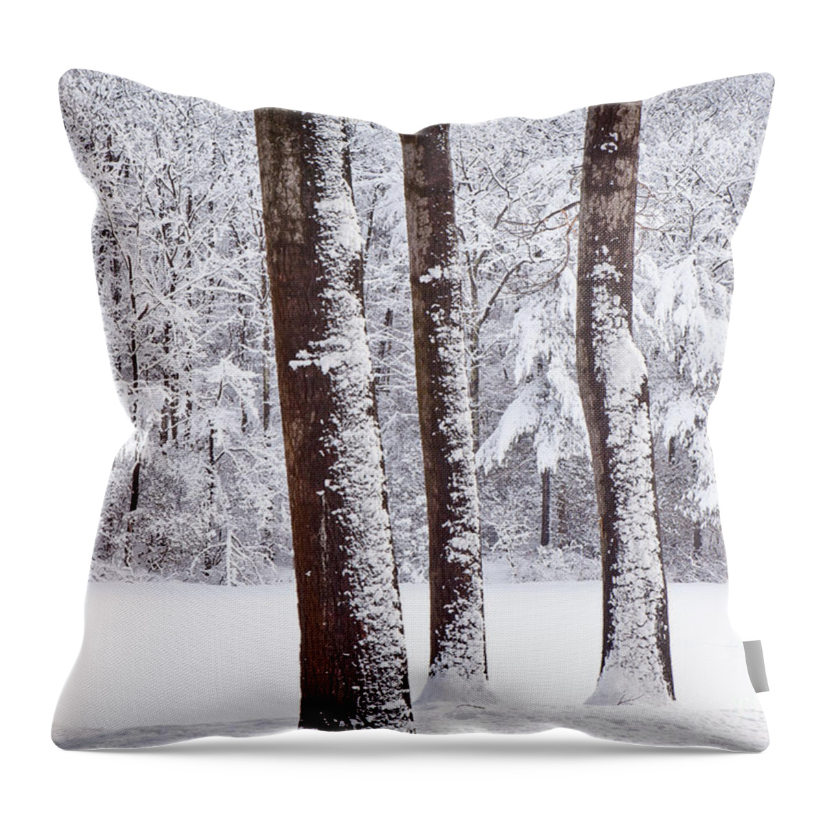 February Throw Pillow featuring the photograph Winter on Paradise Pond by Susan Cole Kelly