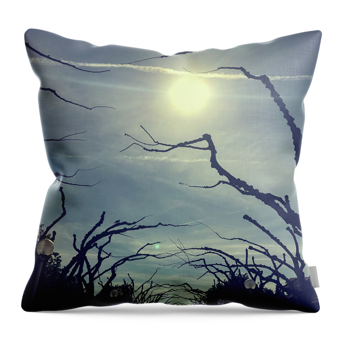 Amazing Throw Pillow featuring the photograph Winter park by Patricia Hofmeester