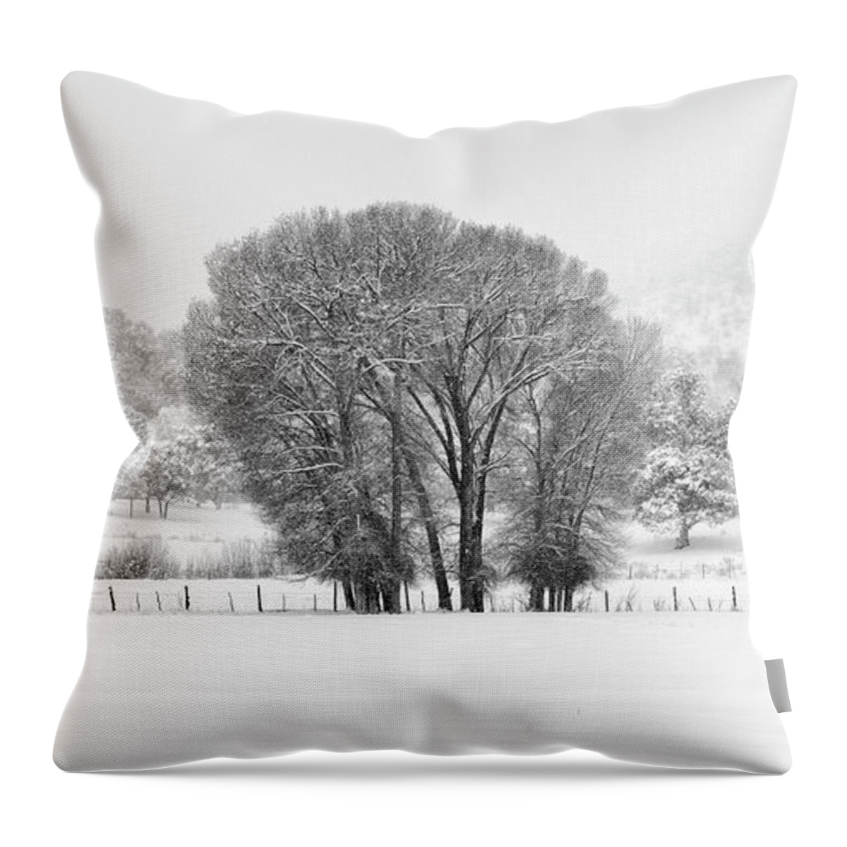 Winter Throw Pillow featuring the photograph Winter Pasture in Black and White by Denise Bush