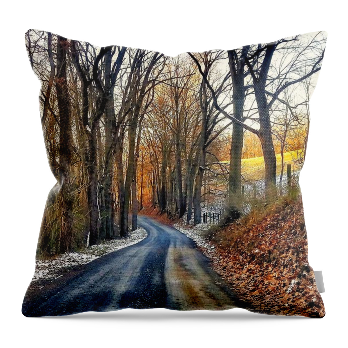 Photograph Throw Pillow featuring the photograph Winter Path by Jim Harris