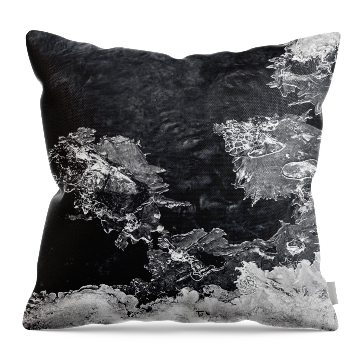 Jenny Rainbow Fine Art Photography Throw Pillow featuring the photograph Winter Patterns 2. Frozen Nature by Jenny Rainbow