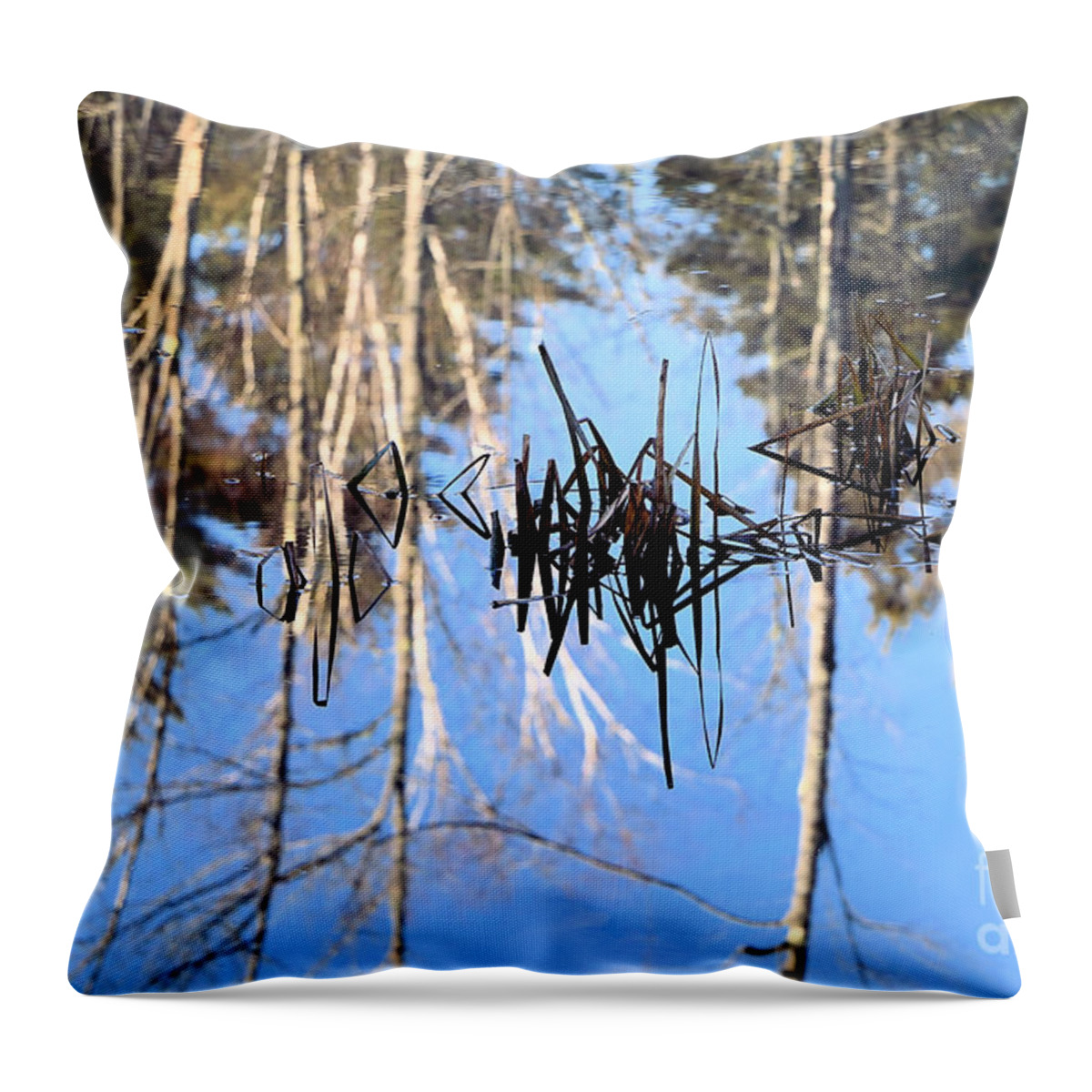 Winter Throw Pillow featuring the photograph Winter Pond by Elizabeth Dow