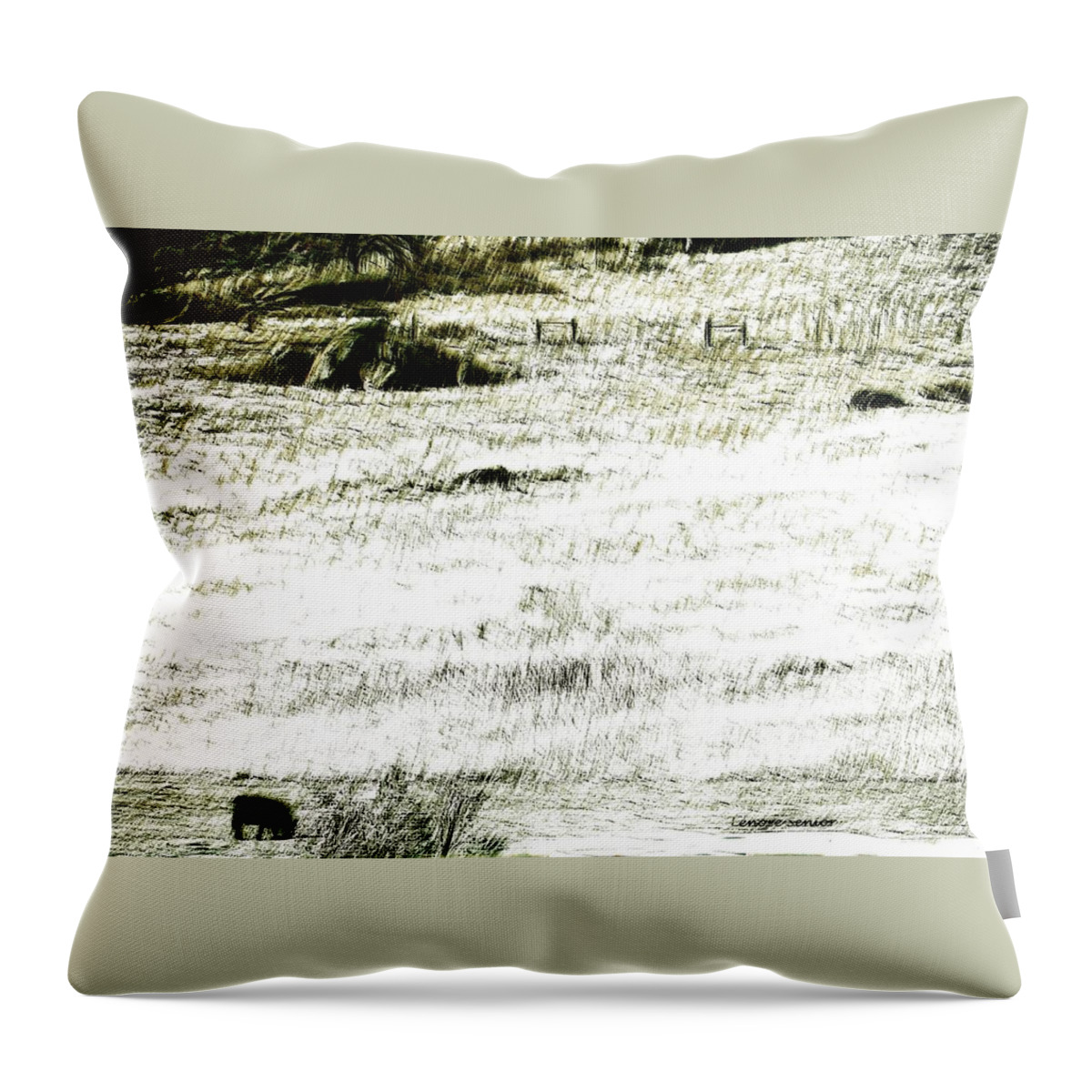 Minimal Throw Pillow featuring the photograph Winter Range by Lenore Senior