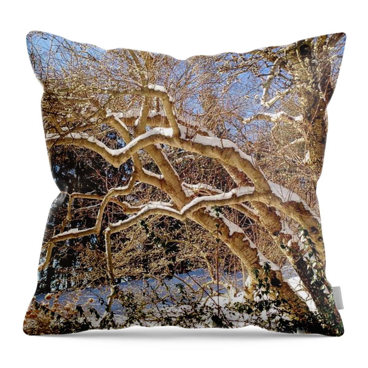Landscape Throw Pillow featuring the photograph Winter Scene by Anita Adams