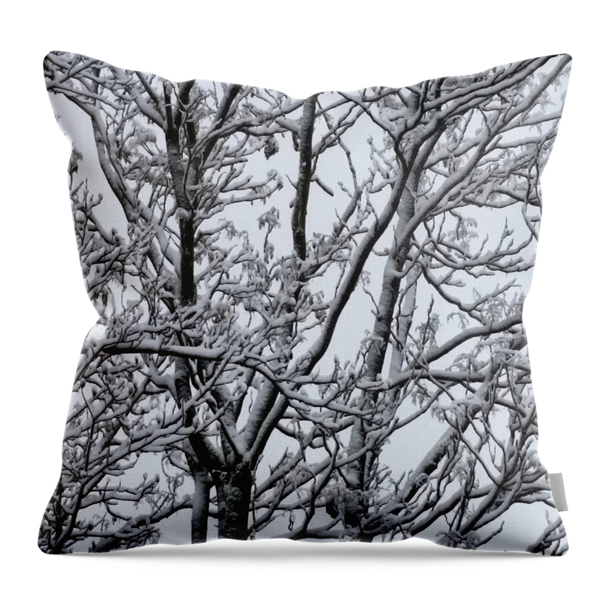 Ice Throw Pillow featuring the photograph Winter Sky through Snow Branches by Vic Ritchey