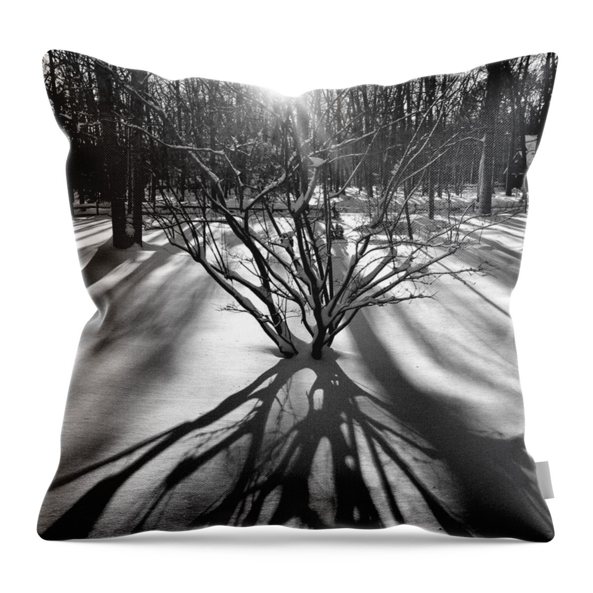 Trees Throw Pillow featuring the photograph Winter Sunrise Shadows by Glenn DiPaola