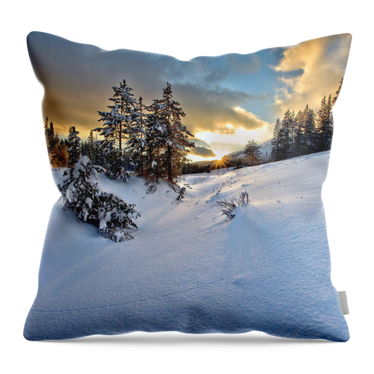 Cold Throw Pillow featuring the photograph Winter Sunset by David Andersen