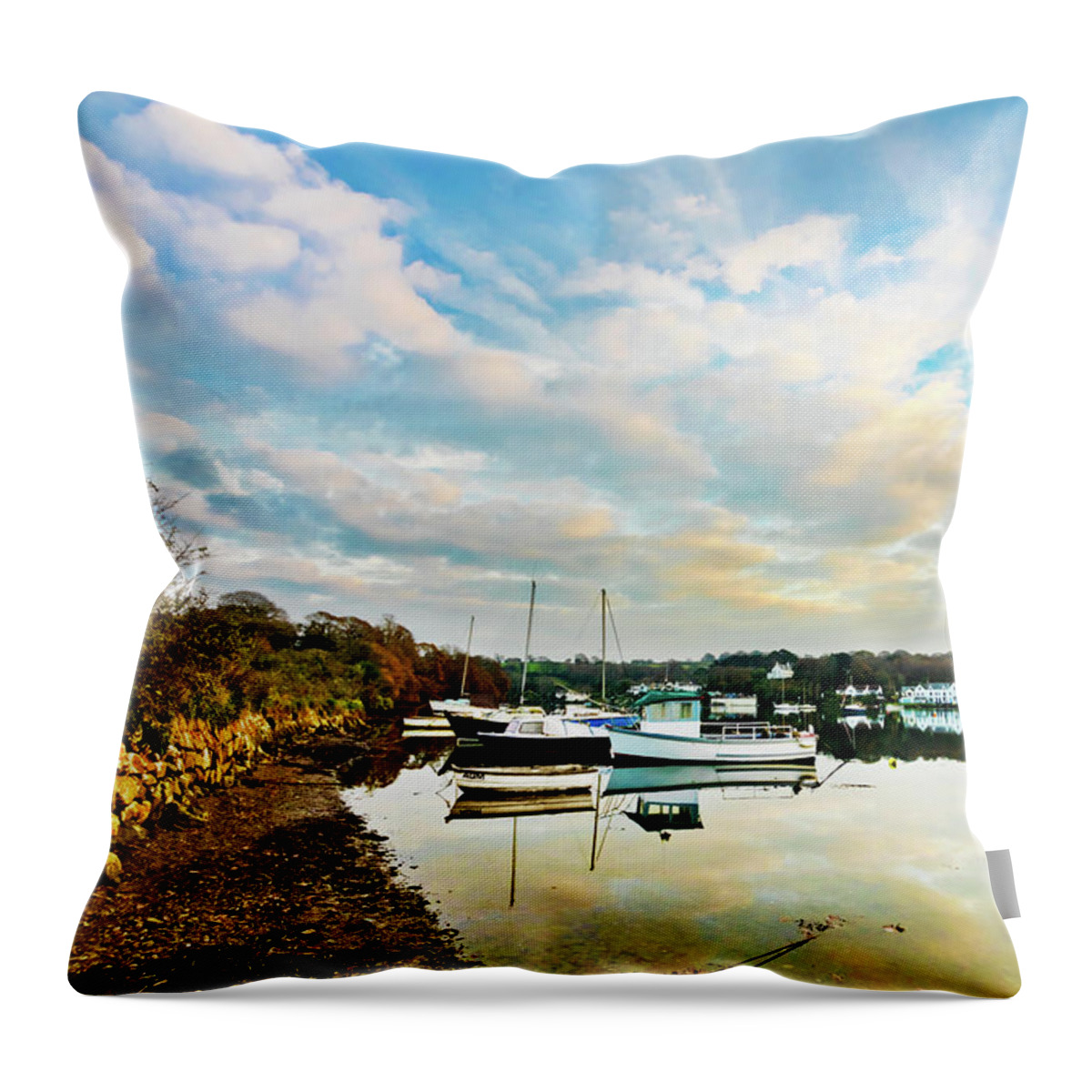 Mylor Throw Pillow featuring the photograph Winter Sunset by Terri Waters