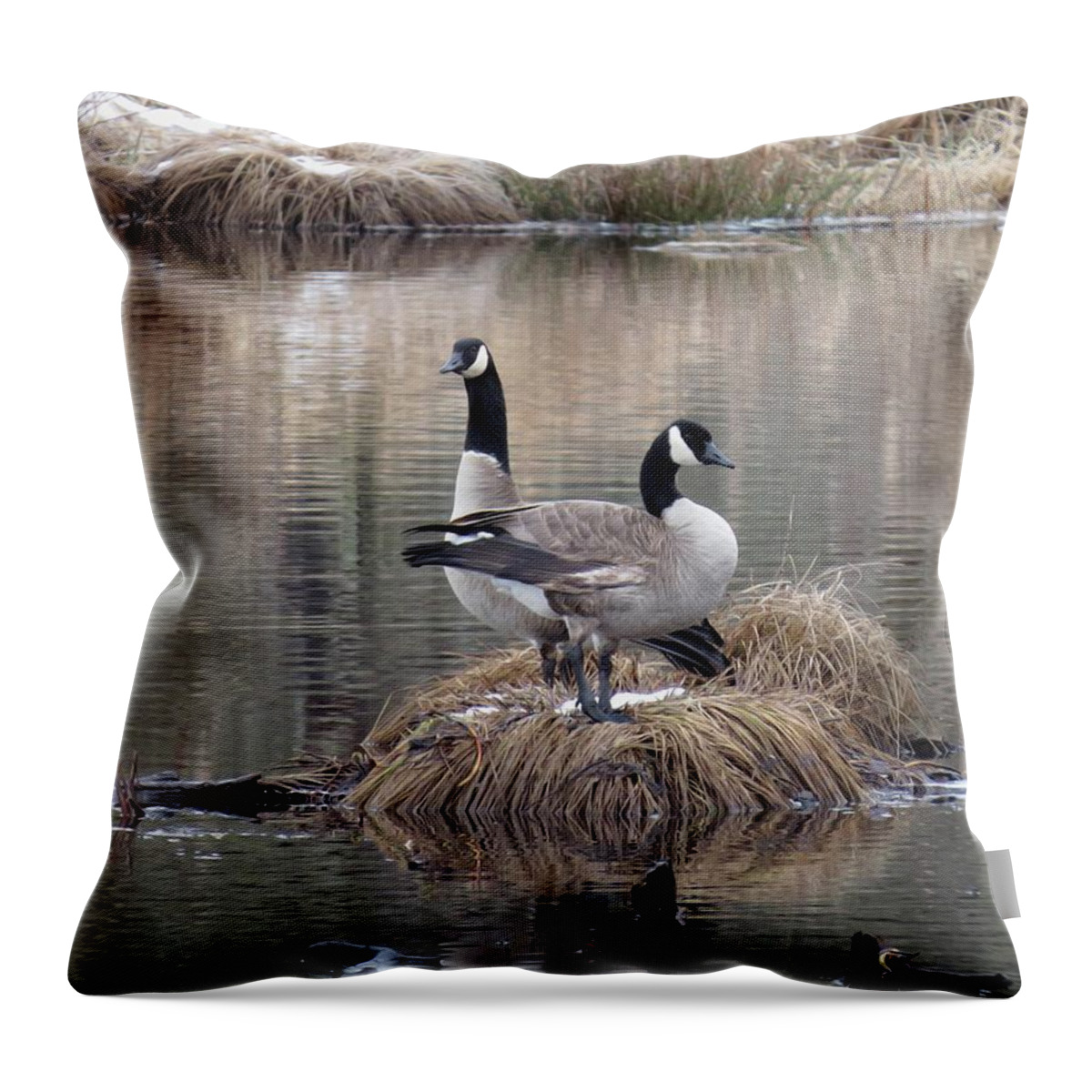 Pond Reflection Throw Pillow featuring the photograph Winter Surprise by I'ina Van Lawick