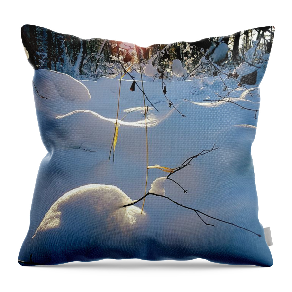 Winter Throw Pillow featuring the photograph Winter by Thomas Nay