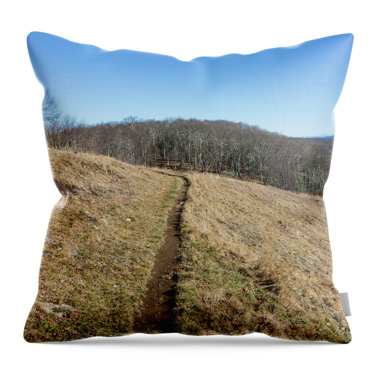 Empty Throw Pillow featuring the photograph Winter Trail - December 7, 2016 by D K Wall