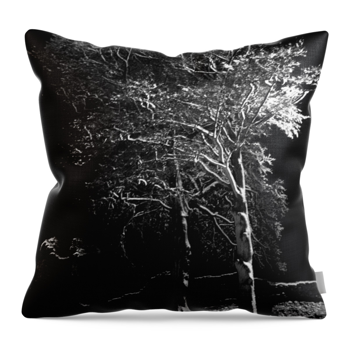 Winter Throw Pillow featuring the photograph Winter tree at night by Lukasz Ryszka