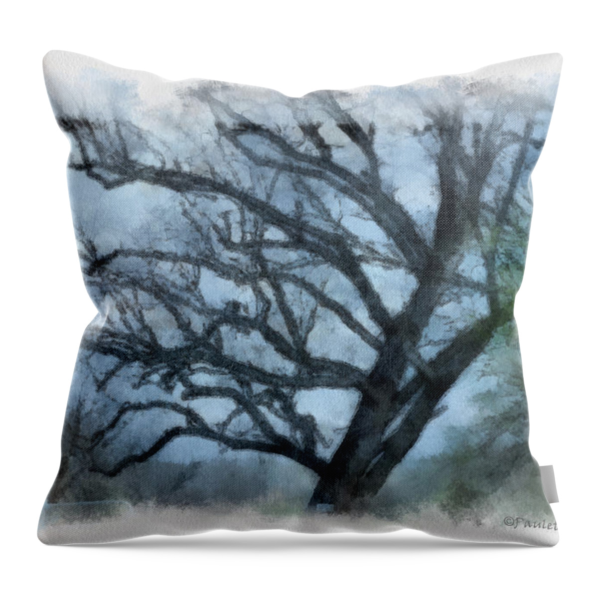 Texas Throw Pillow featuring the photograph Winter Tree by Paulette B Wright