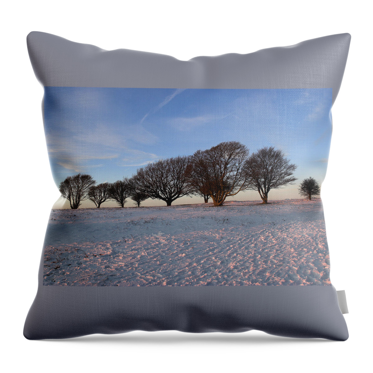 South Throw Pillow featuring the photograph Winter trees on the Ring by Hazy Apple