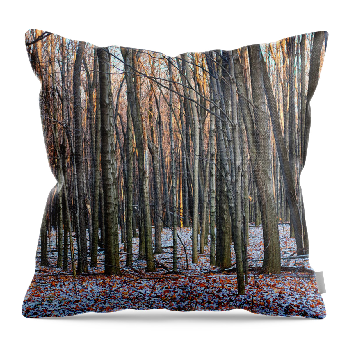 Tree Throw Pillow featuring the photograph Winter - UW Arboretum Madison Wisconsin by Steven Ralser