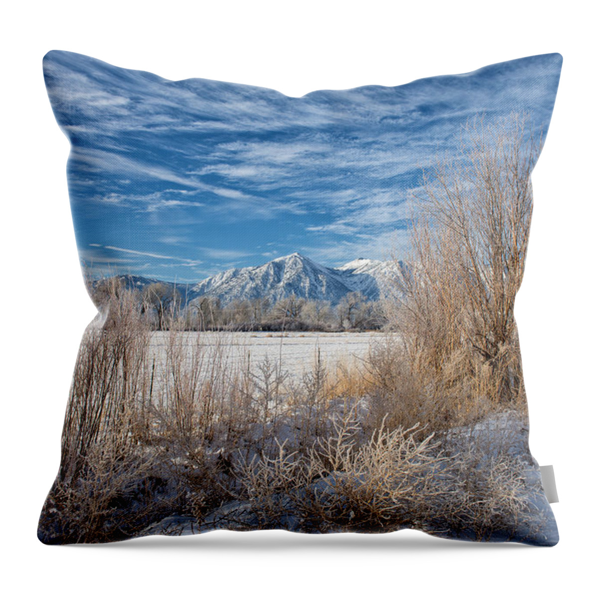 Mountains Throw Pillow featuring the photograph Winter View of Jobes Peak - Gardnerville - Nevada by Bruce Friedman