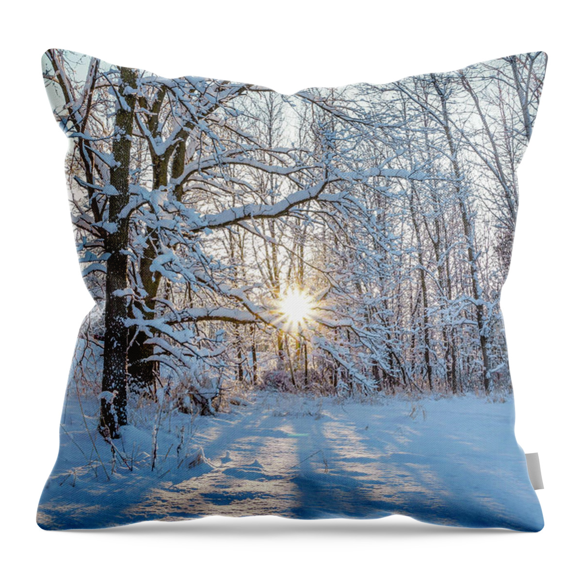 Bill Pevlor Throw Pillow featuring the photograph Winter Warm Spot by Bill Pevlor