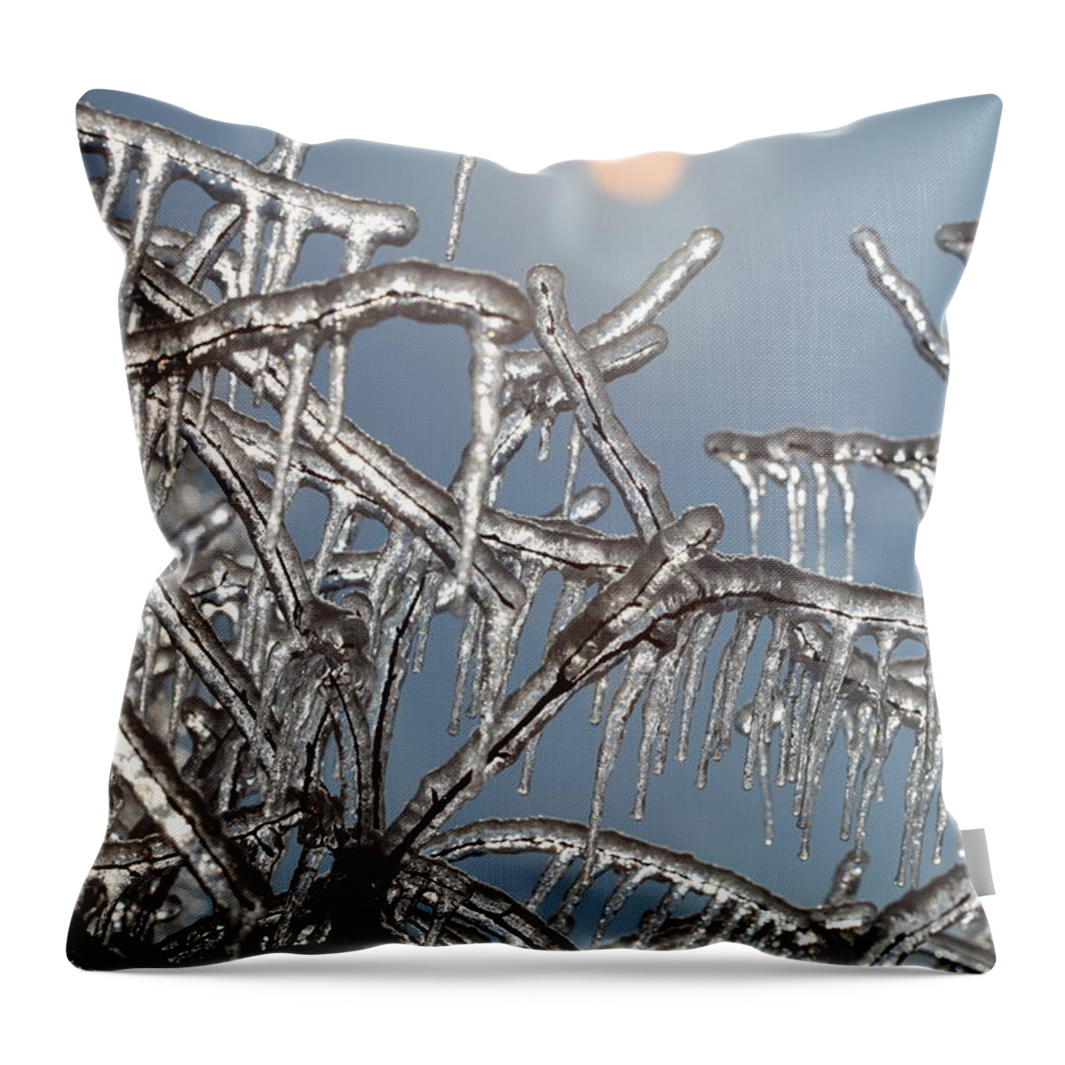 Winter Throw Pillow featuring the photograph Winter Warmth by Nadine Rippelmeyer