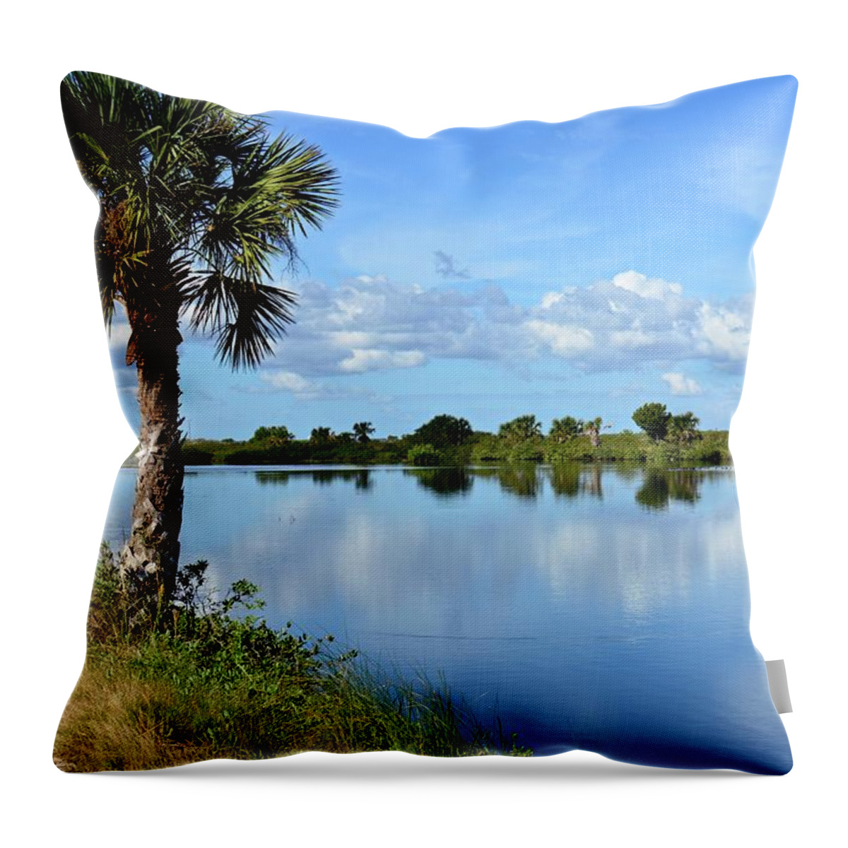Landscape Throw Pillow featuring the photograph Winter Wonderland Florida Style by Carol Bradley