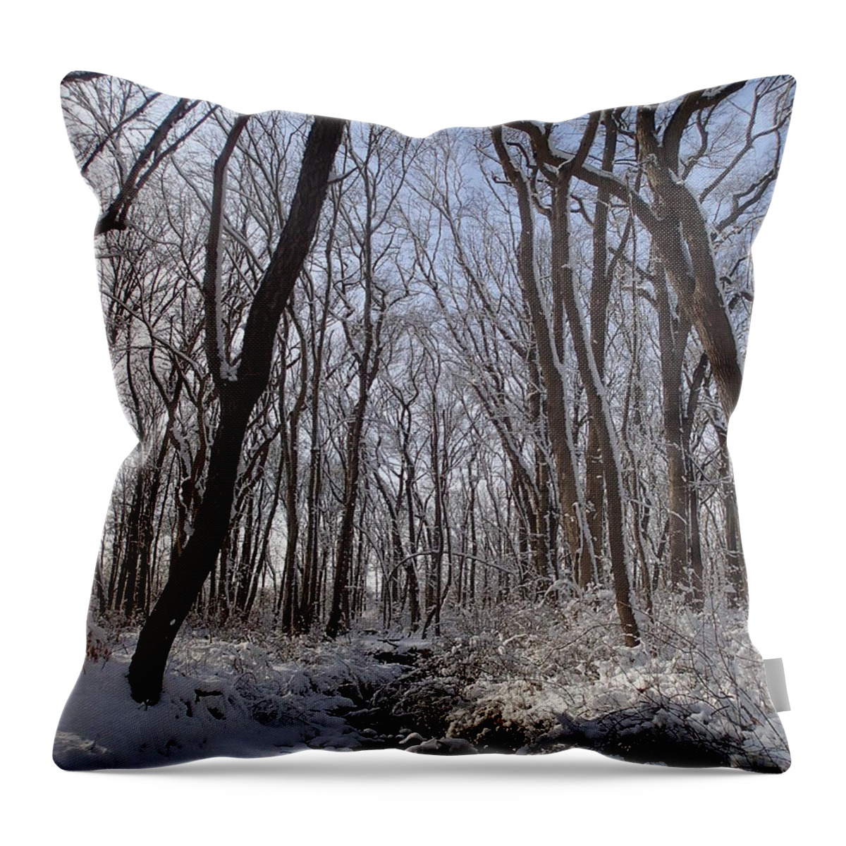 Nature Throw Pillow featuring the photograph Winter Woods 3 by Robert Nickologianis