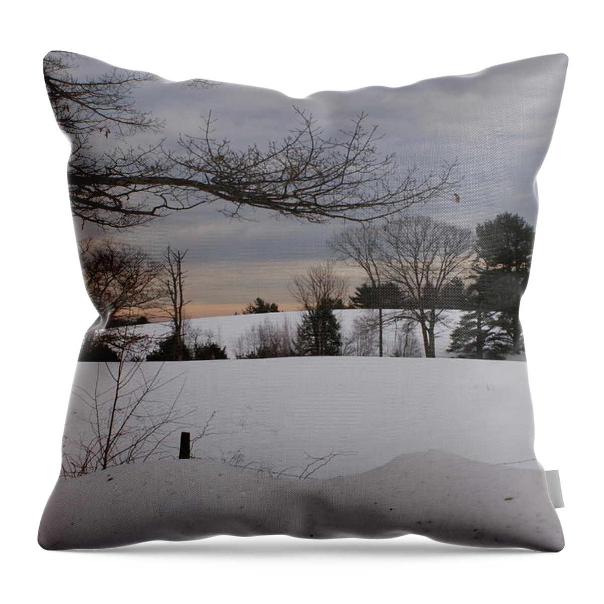 Winter Throw Pillow featuring the photograph Winter's Beauty by Lois Lepisto