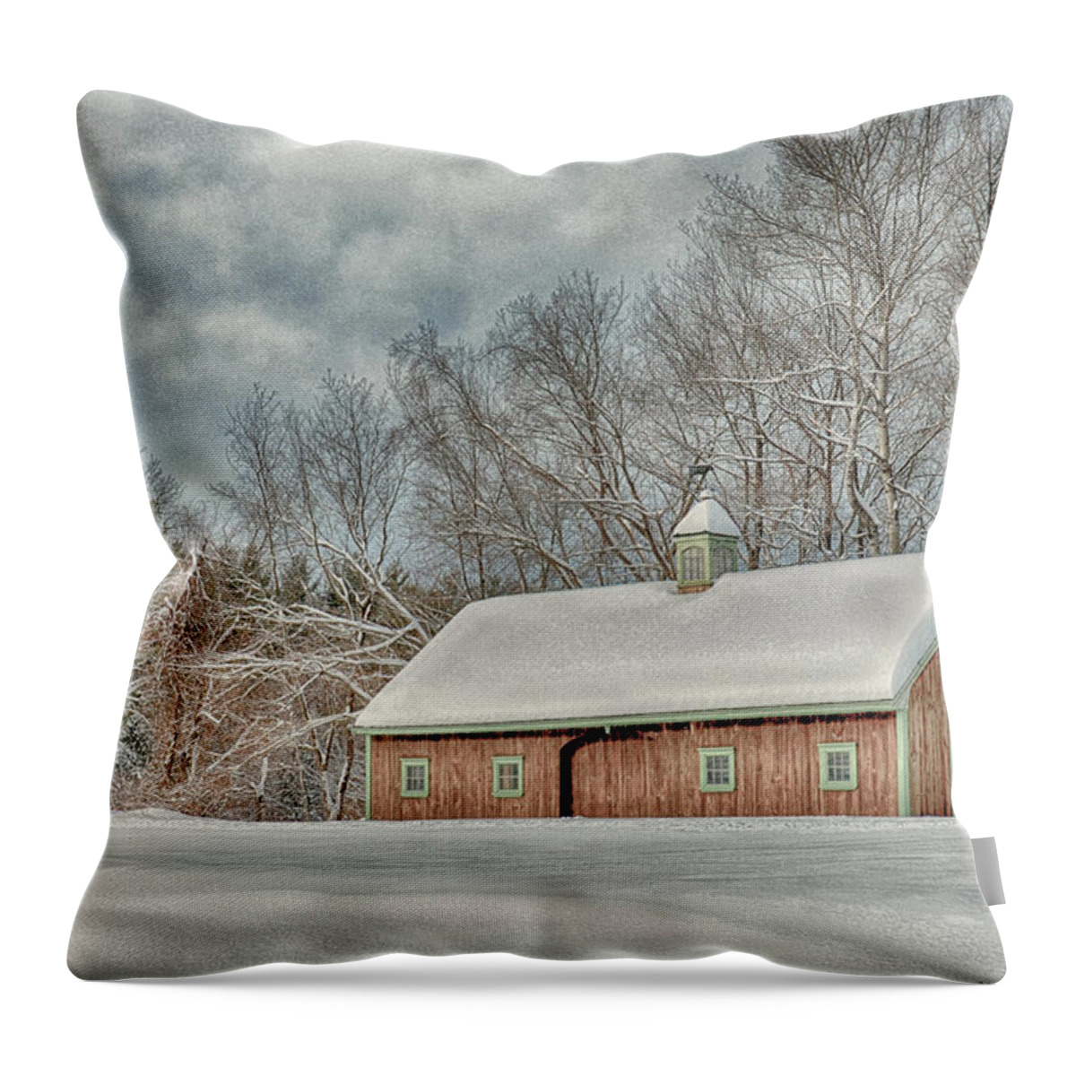 Blue Throw Pillow featuring the photograph Winters Coming by Tricia Marchlik