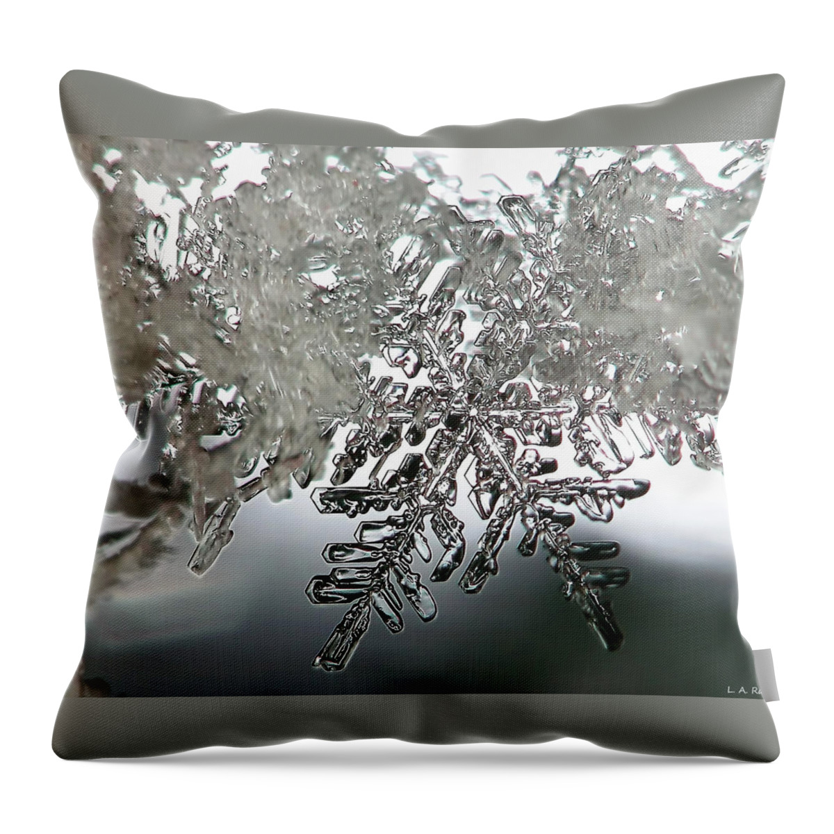Macro Throw Pillow featuring the photograph Winter's Glory by Lauren Radke